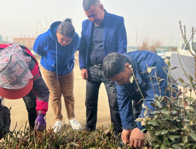 火狐电竞库尔勒市：苗木市场迎来了销售旺季(图1)