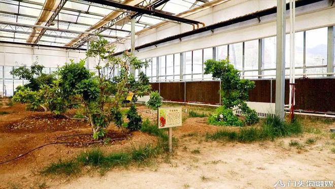 门头沟大山里藏着一个种植园科技含量拉火狐电竞满！(图1)