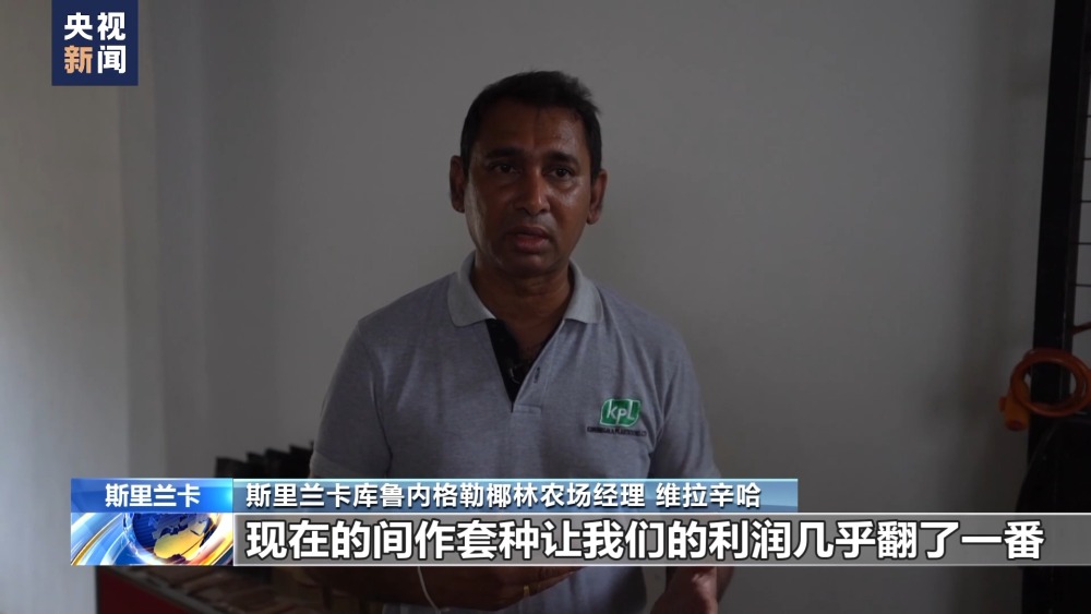 火狐电竞中方分享融合农作物种植经验 助力斯里兰卡椰林种植新发展(图2)
