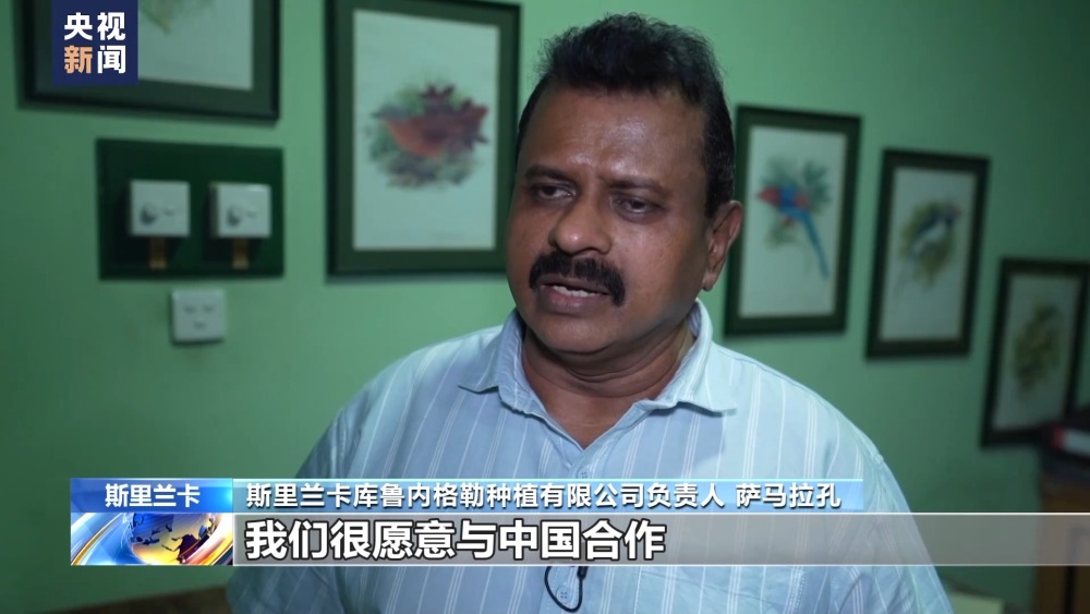 火狐电竞中方分享融合农作物种植经验 助力斯里兰卡椰林种植新发展(图4)