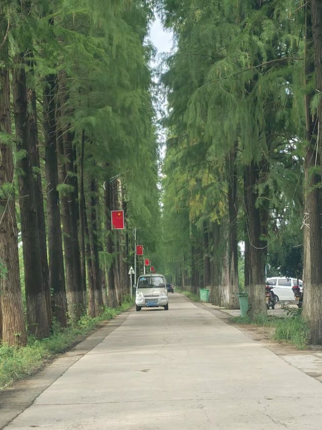 罗山县子路镇：“十里画廊”火狐电竞经济带激活乡村振兴“新引擎”(图1)