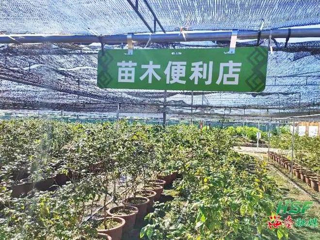 火狐电竞购、育、售苗请进！这家便利店专做苗木生意(图1)