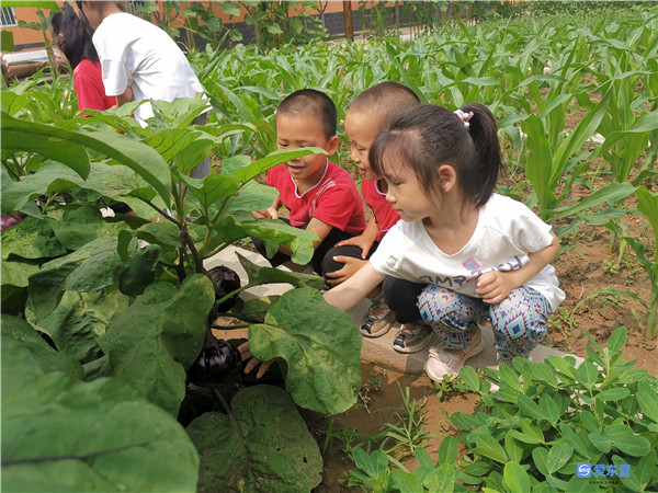火狐电竞种植园里趣味多(图1)
