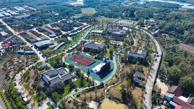 年销售火狐电竞12亿株沙洋十里苗木城迎来首届湖北苗交会(图3)