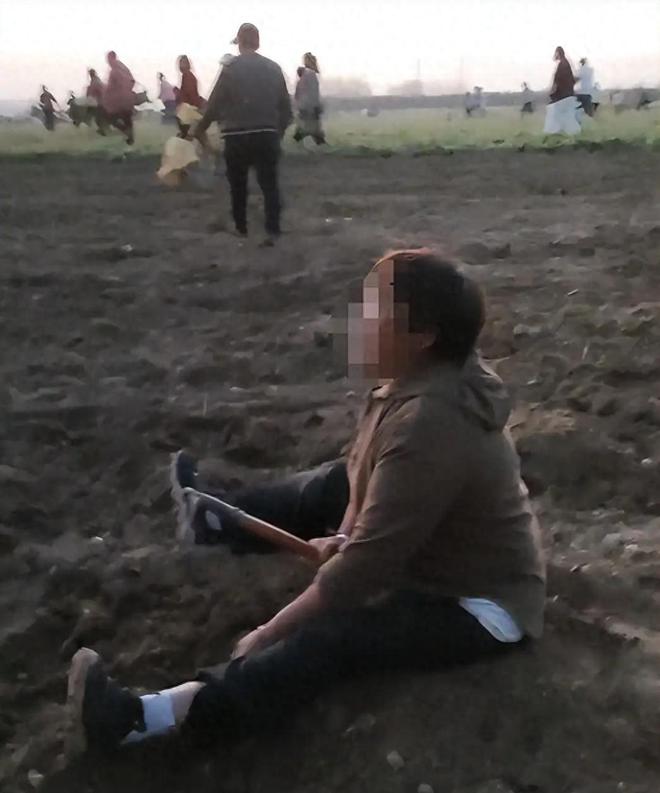 同样的配方不同的味道河南一种植园被抢当地回复是理解有误火狐电竞(图1)