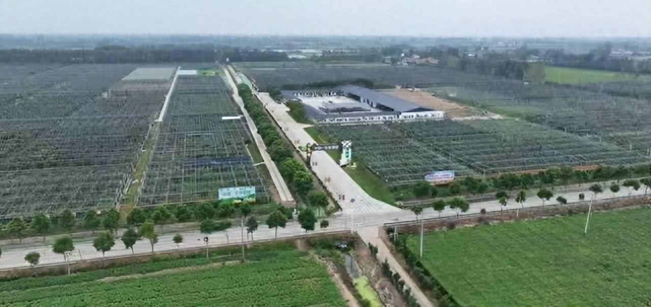 火狐电竞特色种植园绘成色彩斑斓田园风光泛涨渡湖都市田园综合体初长成(图1)