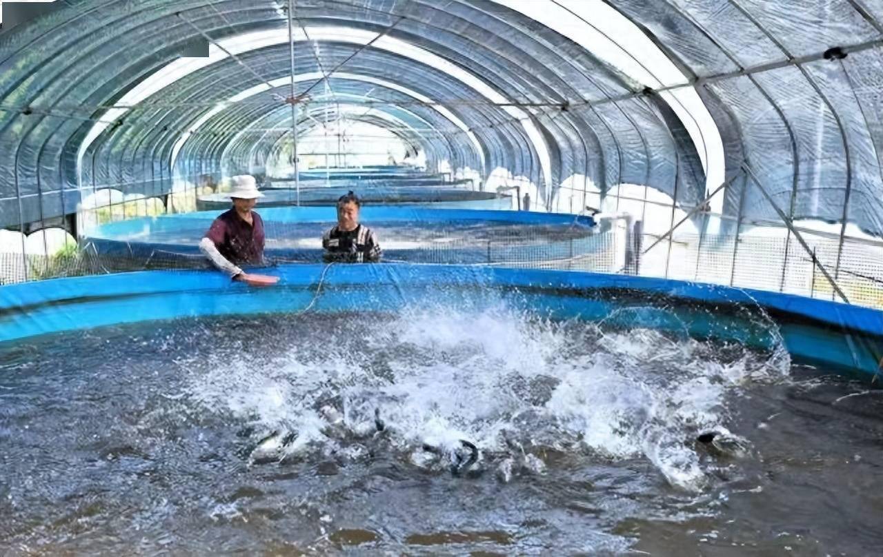 火狐电竞特色种植园绘成色彩斑斓田园风光泛涨渡湖都市田园综合体初长成(图2)