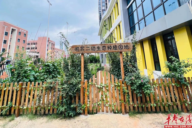 长沙市雨花区教育局幼儿园明昇第二幼儿园“种植园地”实火狐电竞践探索(图1)