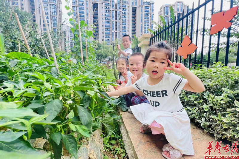 长沙市雨花区教育局幼儿园明昇第二幼儿园“种植园地”实火狐电竞践探索(图2)