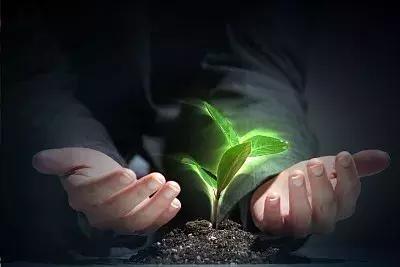 传统种植园火狐电竞、养殖场如何转型休闲农庄？这六点请谨记(图2)