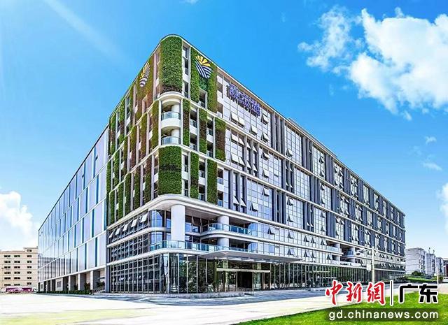 进博会上水果飘香 “一带一路”丰富中国消费者“果盘子”火狐电竞(图2)