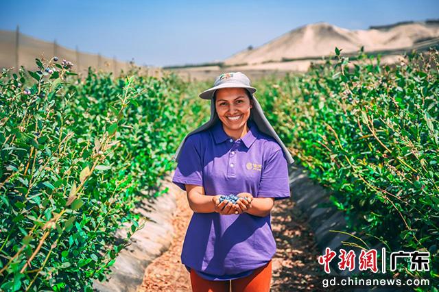 进博会上水果飘香 “一带一路”丰富中国消费者“果盘子”火狐电竞(图1)