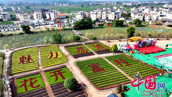 广西荔浦：春城无处不飞花 花卉苗木尽显富“桂”火狐电竞(图1)