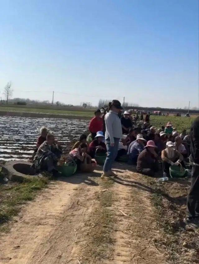 河南火狐电竞今年的热搜上的很莫名其妙！负面曝光疑似有组织行为(图3)