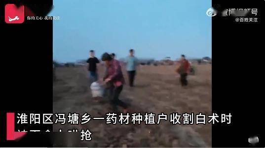 火狐电竞官方回应药材种植园遭村民哄抢 河南周口一地上百村民哄抢药材最新进展(图3)