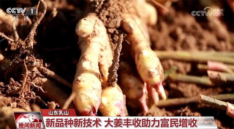 火狐电竞科技含量高、发展模式多、经营模式强 希望的田野上“硕果累累”(图5)