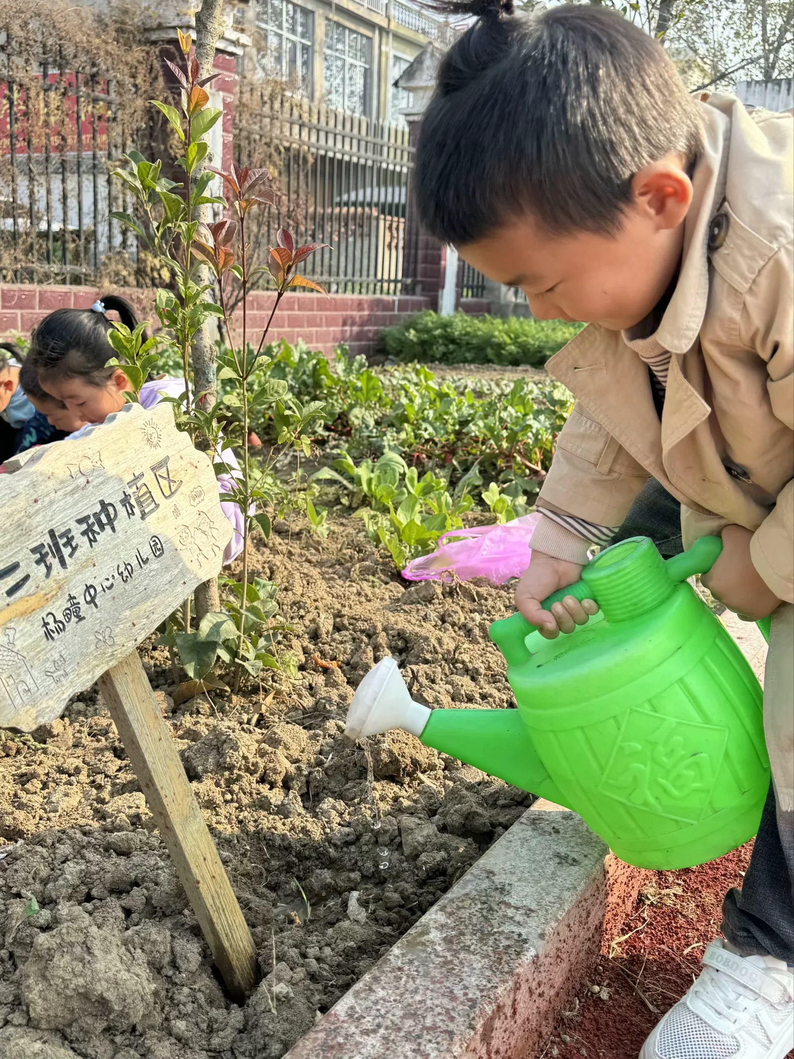 灵璧县：“袖珍式”种植园 收火狐电竞获劳动快乐(图1)