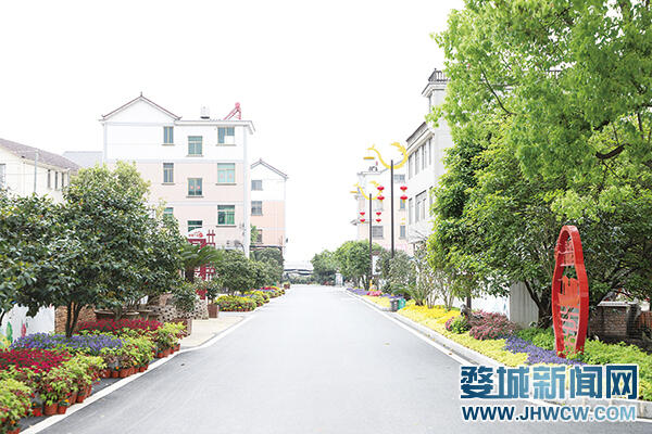 党火狐电竞建引领下的“茶花经济”跑出乡村振兴“加速度”(图1)