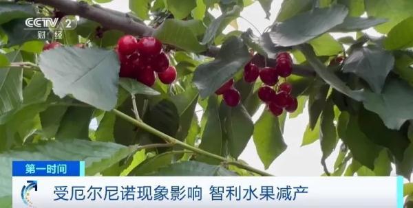 全部导航火狐电竞(图4)