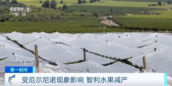 全部导航火狐电竞(图5)
