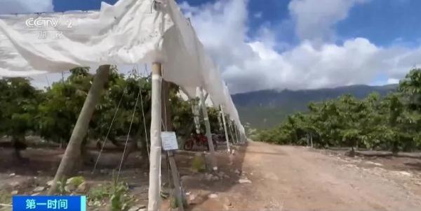全部导航火狐电竞(图6)