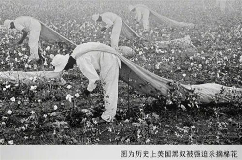 种植园的黑奴生活：不如牲口出于母爱黑奴会亲手杀死子女火狐电竞(图8)