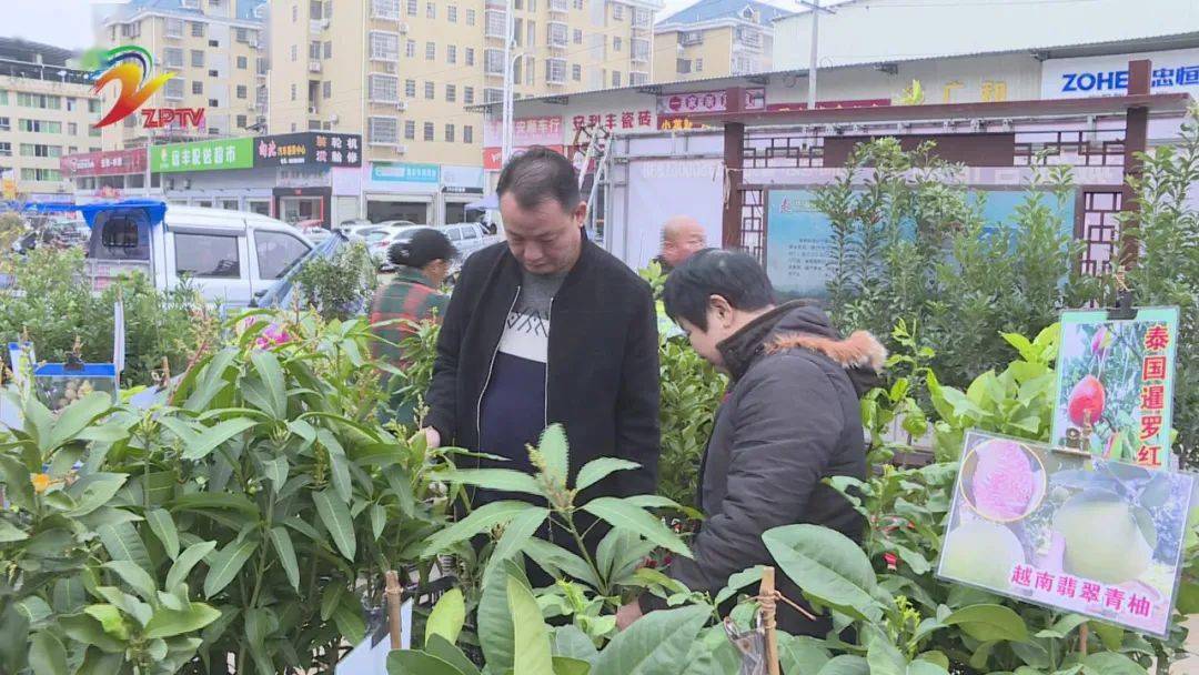 火狐电竞漳平:春来苗木销售俏(图1) 火狐电竞漳平:春来苗木销售俏(图1)