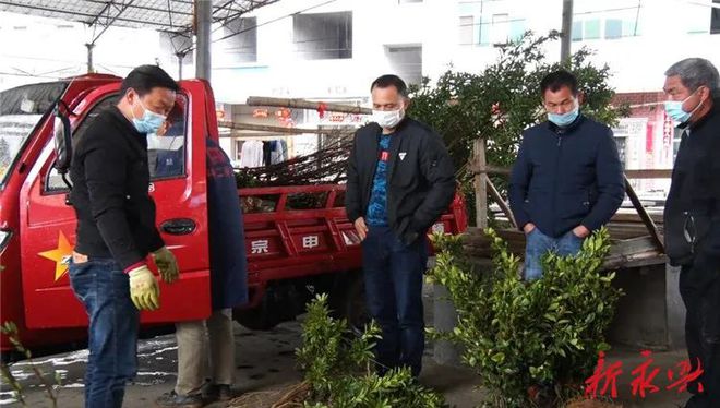苗木线火狐电竞上销售防疫春耕两不误(图1)