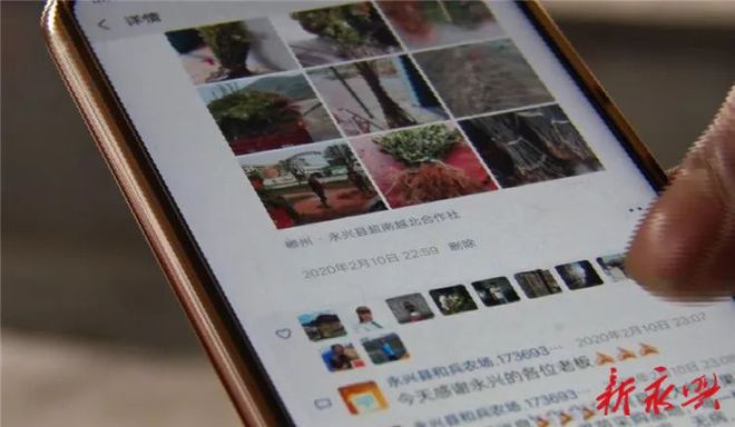 苗木线火狐电竞上销售防疫春耕两不误(图3)