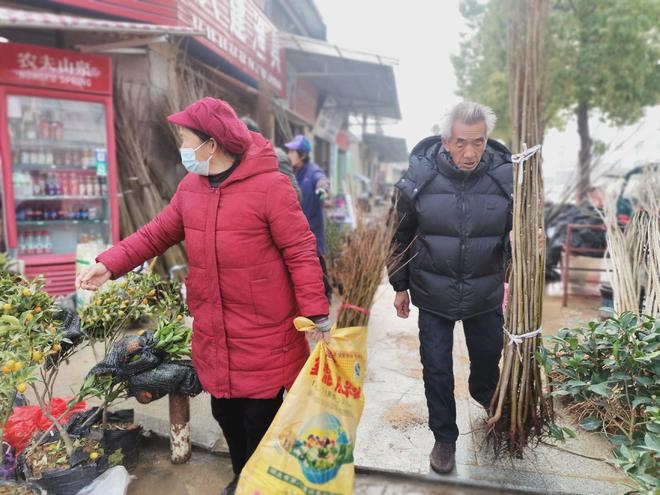 咸安：苗木俏了村民笑了火狐电竞(图2)