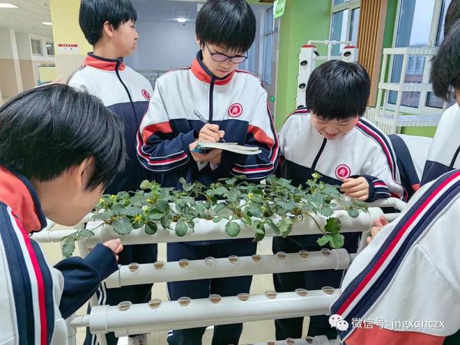 火狐电竞感知一叶一花！济南高新区海川中学学生走进东篱种植园(图2)