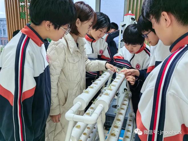 火狐电竞感知一叶一花！济南高新区海川中学学生走进东篱种植园(图3)
