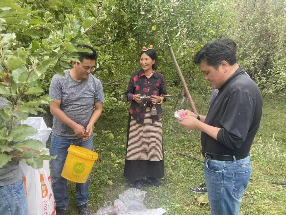 火狐电竞洛隆县白达乡：党建引领群众“增收路”(图1)