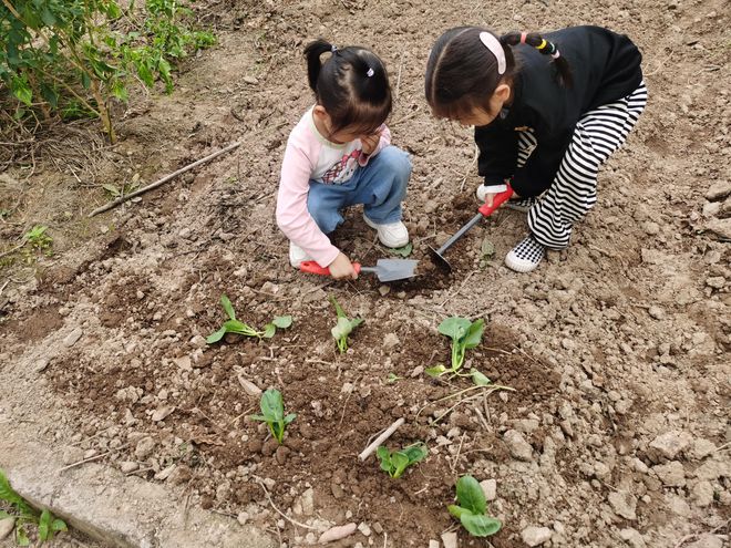 火狐电竞播种希望一起成长(图1)