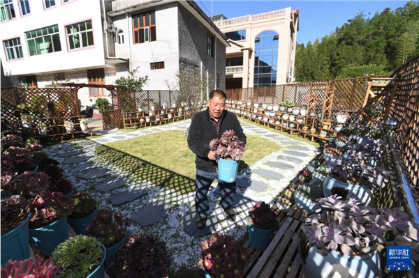 火狐电竞福建周宁：高山“凉气候”催生花卉“热产业”(图5)