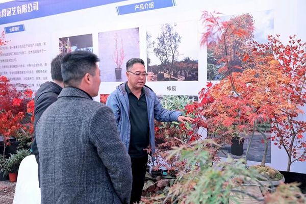 火狐电竞2023年成都秋季苗木供需对接会在温江举行(图1)