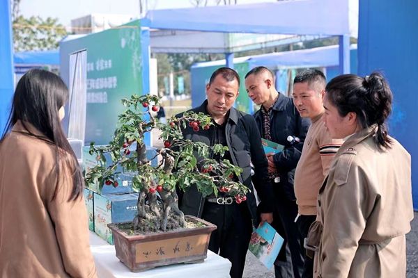 火狐电竞2023年成都秋季苗木供需对接会在温江举行(图4)