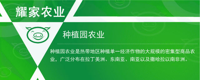 种植园(什么是种植火狐电竞园农业)(图1)