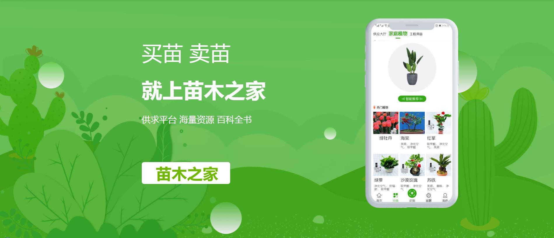 买苗卖苗就上苗木之家一站式园林行业综合交易服务火狐电竞平台(图1)