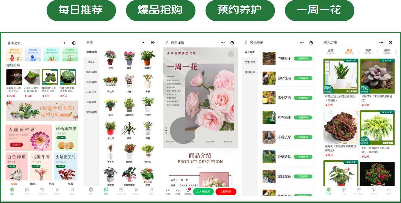 买苗卖苗就上苗木之家一站式园林行业综合交易服务火狐电竞平台(图3)