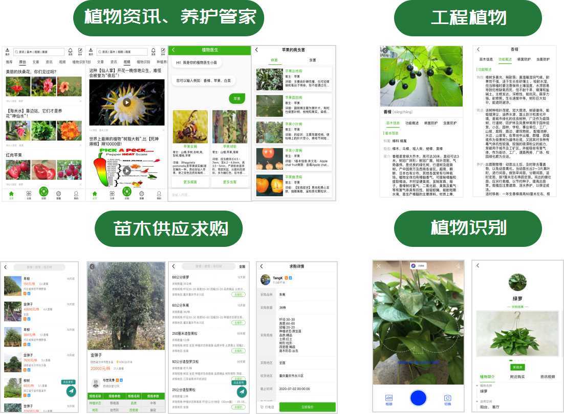 买苗卖苗就上苗木之家一站式园林行业综合交易服务火狐电竞平台(图2)