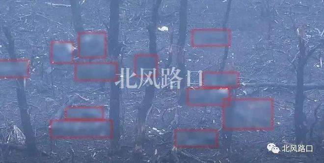 12月5日俄乌：无人机再袭克里米亚乌军新战术让俄军损失巨大火狐电竞(图9)