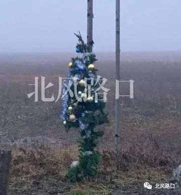 12月5日俄乌：无人机再袭克里米亚乌军新战术让俄军损失巨大火狐电竞(图18)