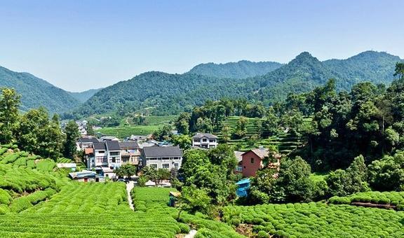 杭州1火狐电竞2个最受好评的景点(图5)