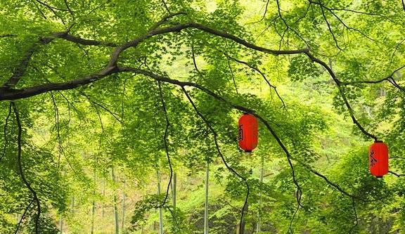 杭州1火狐电竞2个最受好评的景点(图8)