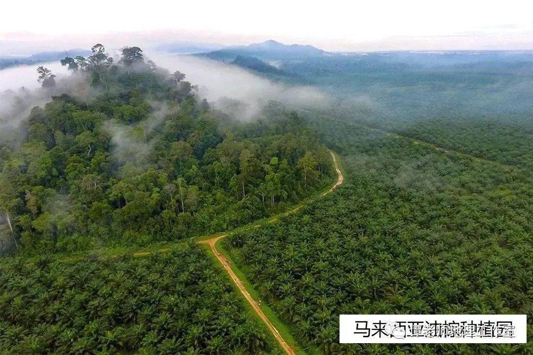 【火狐电竞备考干货】一种特殊的农业地域类型——热带种植园农业(图2)