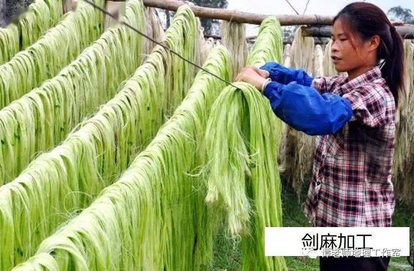 【火狐电竞备考干货】一种特殊的农业地域类型——热带种植园农业(图5)