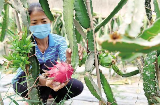 火狐电竞丰收如期而至(图1)