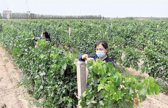 火狐电竞丰收如期而至(图2)
