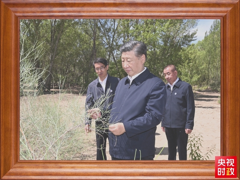 习书架上的照片“上新”记录哪些动人瞬间？火狐电竞(图4)